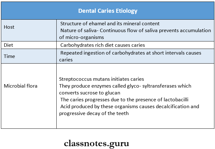 Oral Microbiology Dental Caries Etiology