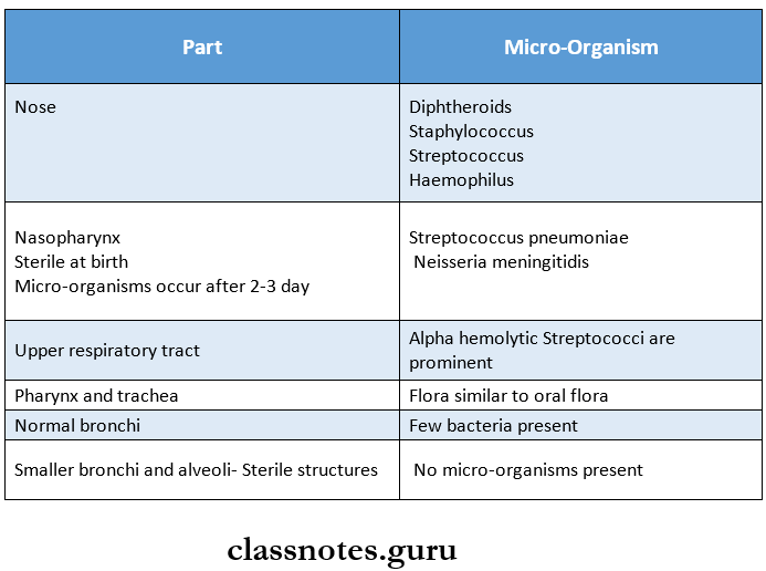 Oral Microbiology Normal flora of respiratory tract