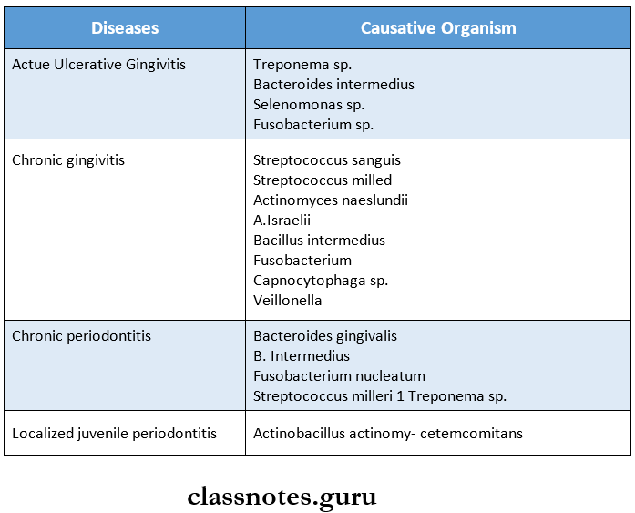 Oral Microbiology Periodontal Diseases