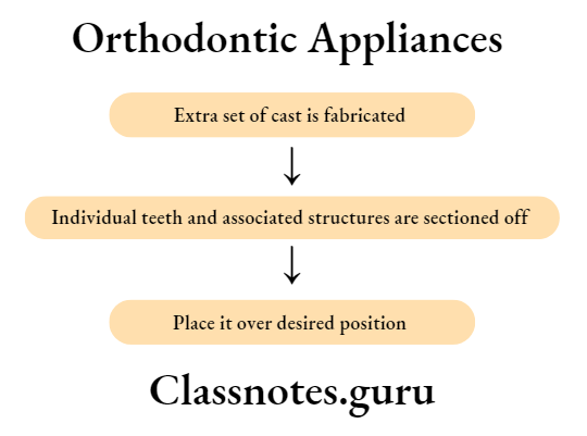 Orthodontic Diagnosis Procedure