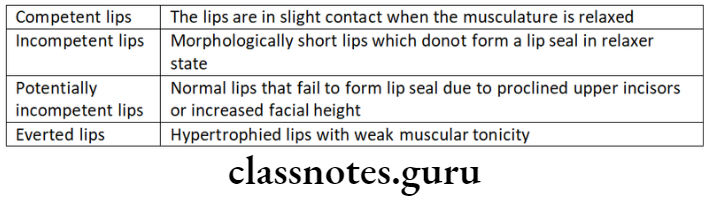 Orthodontic Diagnosis Types of lips