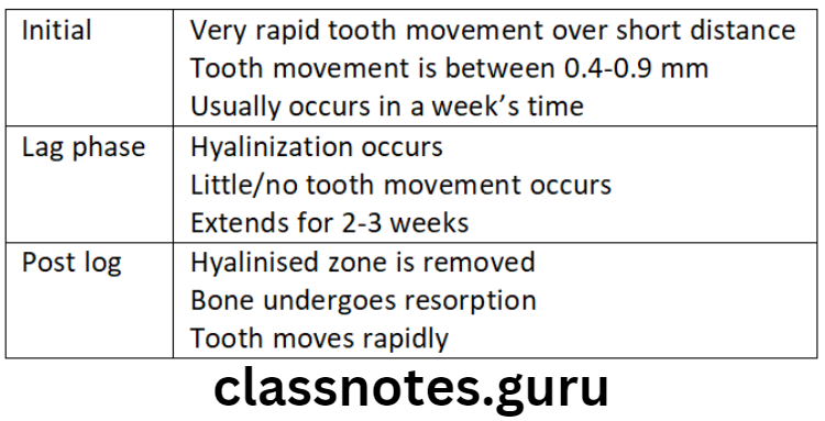 Orthodontics Biology Of Tooth Movement Phases of tooth movement