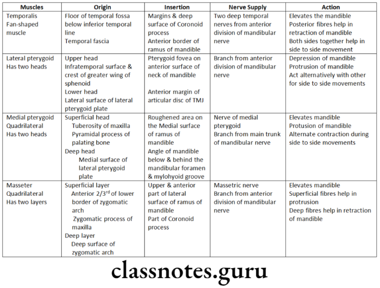 Functional Development In Orthodontics Question And Answers Class Notes