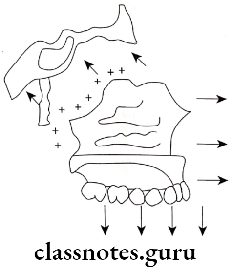 Orthodontics Growth And Development Of Cranial And Facial Region Primary displacement of maxilla