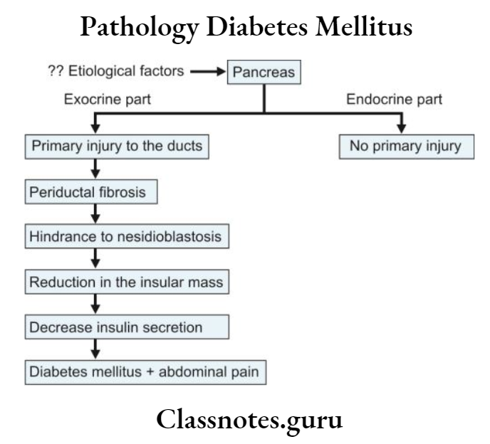 Pathology Diabetes Mellitus