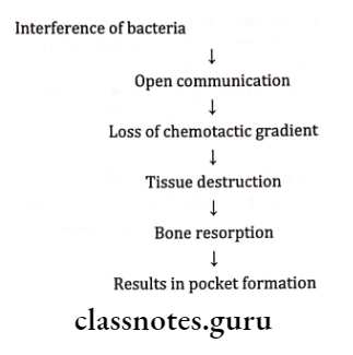 Periodontal Pocket Interference of bacteria