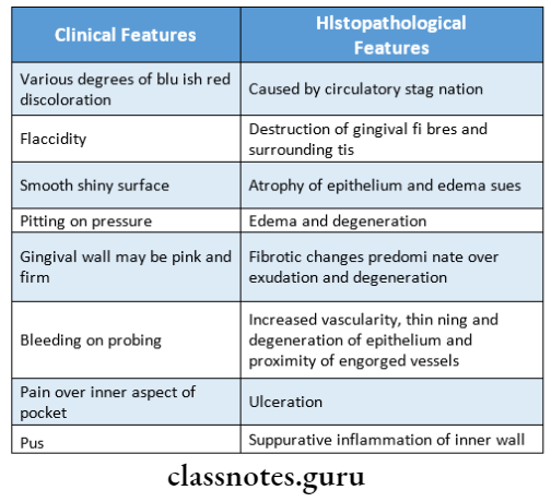 Periodontal Pocket clinical features and histopathlogical features