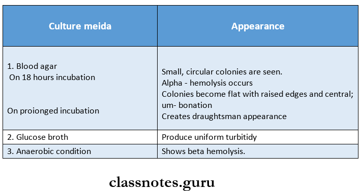 Pneumococcus Cultural characteristics