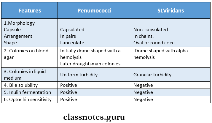 Pneumococcus Differences between pneumococci and streptococcus viridians