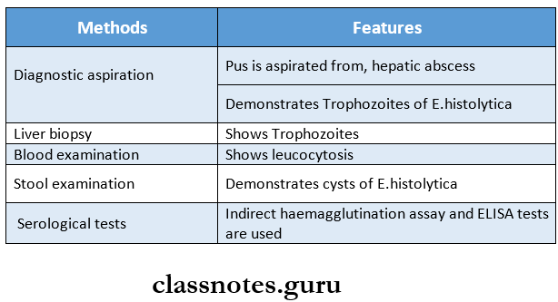 Protozoans Diagnostic methods for extraintestinal amoebiasis