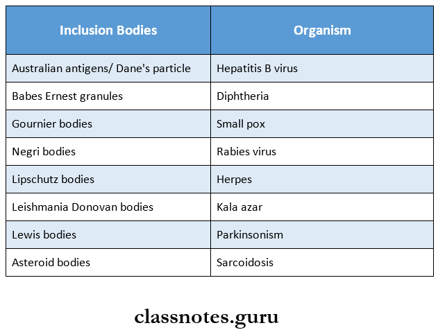 RNA Viruses Inclusion Bodies