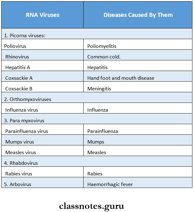 RNA Viruses RNA virues and Diseases caused by them