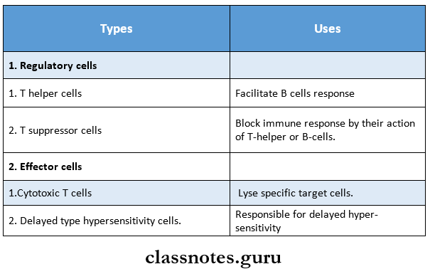 Structure And Functions Of Immune System T-Lymphocytes Types