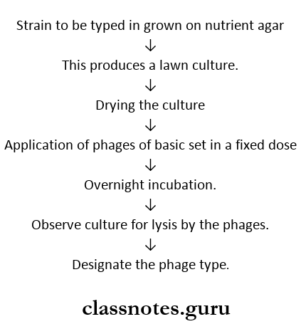 staphylococcus Bacteriophage Typing Method