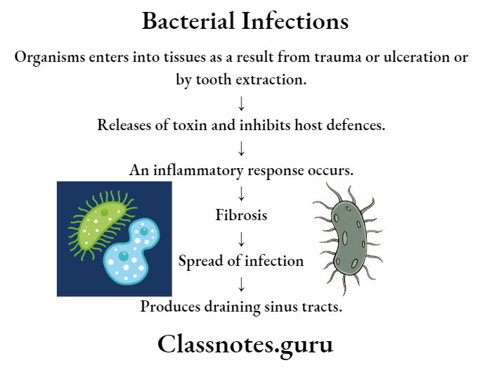 Bacterial Infections Pathology