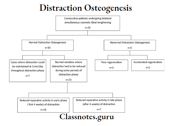 Distraction Osteogenesis The Regeneration Pattern