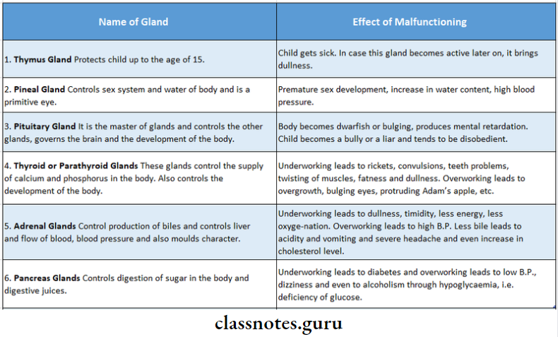 Endocrine Glands Functions And Effects Of The Malfunctioning Of Endocrine Glands