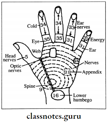 How To Begin Diagnosis Back Of Right Hand