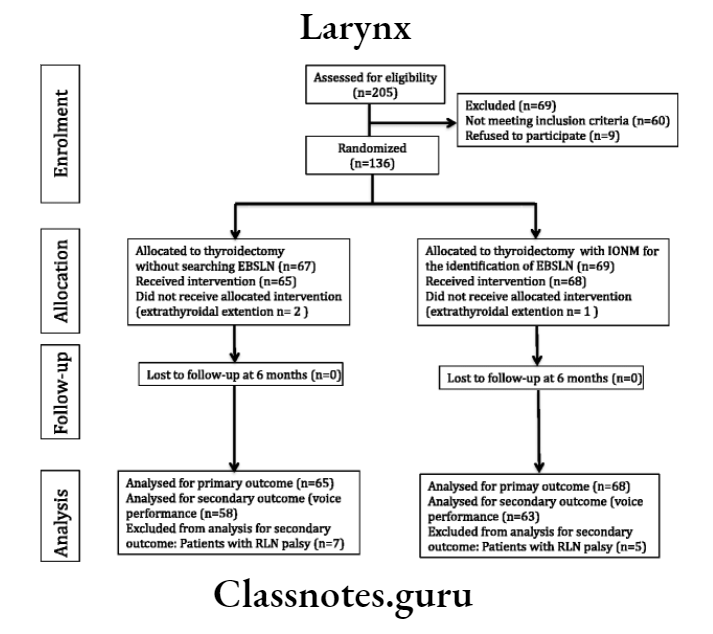 Laeynx RLN recurrent laryngeal Nerve