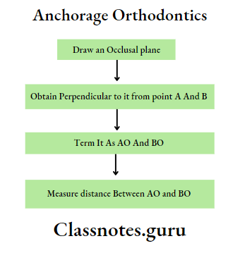 Orthodontics Cephalometrics Wit's Appraisal