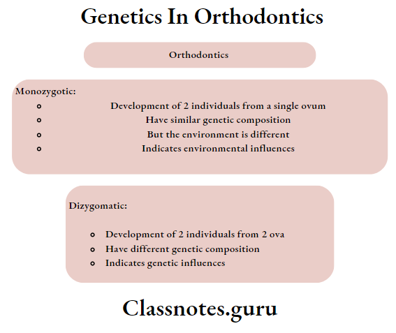 Orthodontics Monozygotic And Dizygomatic