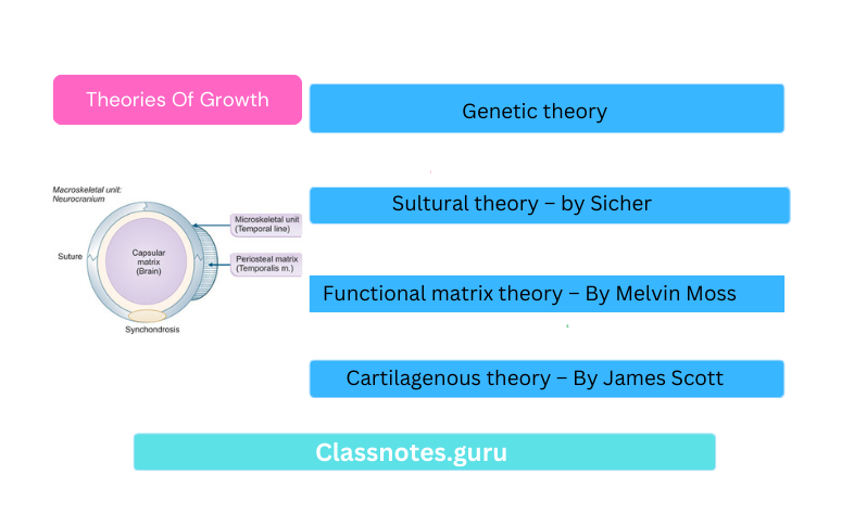 Theories Of Growth
