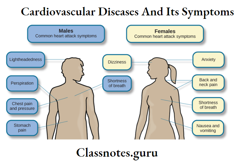 Cardiovascular Diseases And Its Symptoms Common Heart Attack Symptoms Male And Females