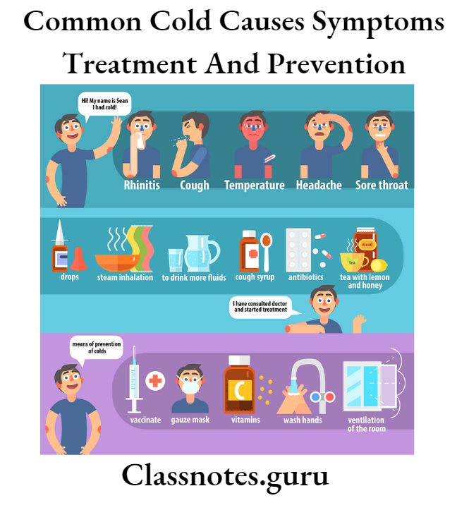 Cold Symptoms Treatment and Prevention vector
