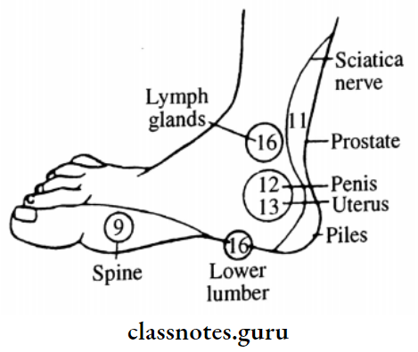 Common Diseases Inside Of Foot