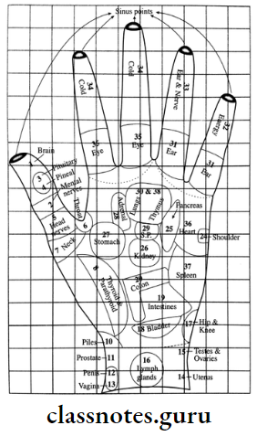Common Diseases Left Hand Location And Number Of Points Connected With Different Organs And Endocrine Glands 