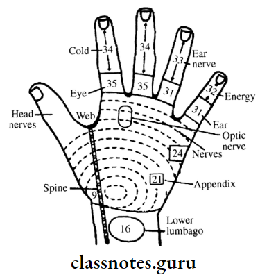 Detection Of Serious Diseases Back Of The Right Palm Showing Points Of Optic Nerve