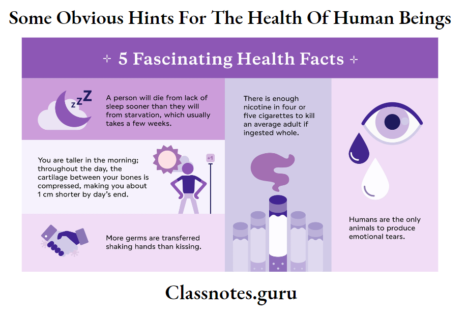 Some Obvious Hints For The Health Of Human Beings Health and body facts