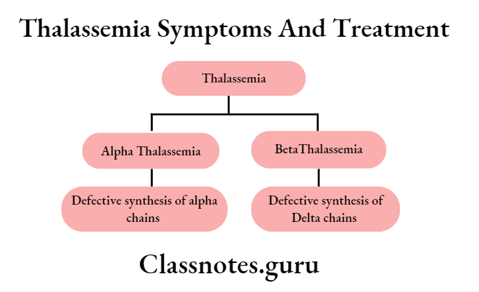 Thalassemia Symptoms And Treatment Thalassemia
