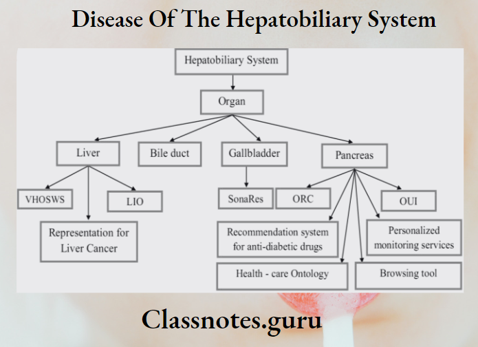 Disease Of The Hepatobiliary System Hepatobiliary System