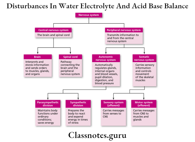 Disturbances In Water Electrolyte And Acid Base Balance Nervous System
