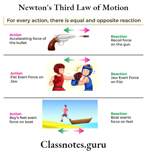 Newton's Third Law of Motion - Class Notes