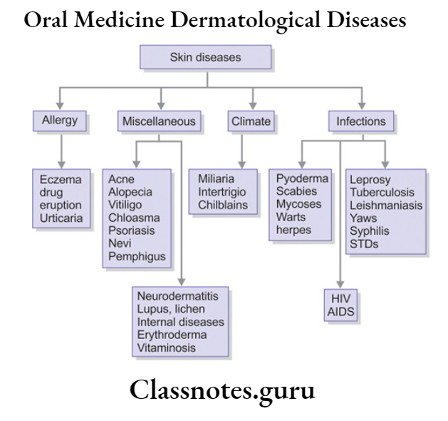 Oral Medicine Dermatological Diseases.