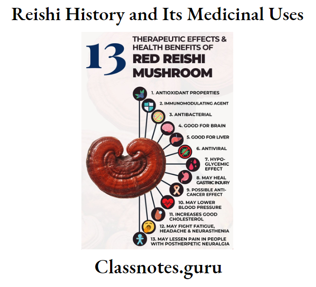 Reishi History and Its Medicinal Uses 13 Therapeutic Effects And Health Benefits of red reishi mushroom