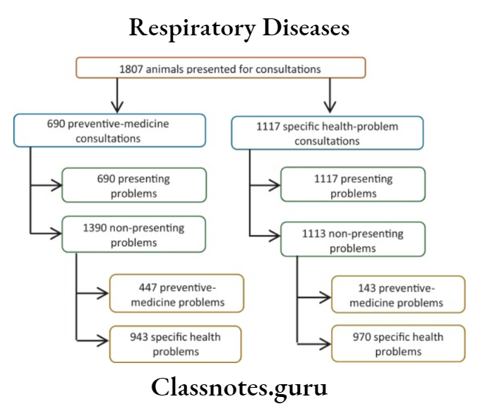 Respiratory Diseases The Breakdown Of Number Of Problems