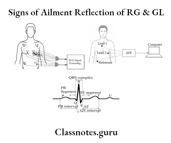 Signs Of Ailment Reflection Of RG And GL Human Vital Signs