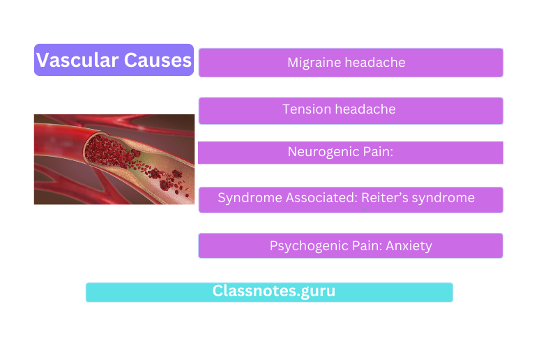 Vascular Causes