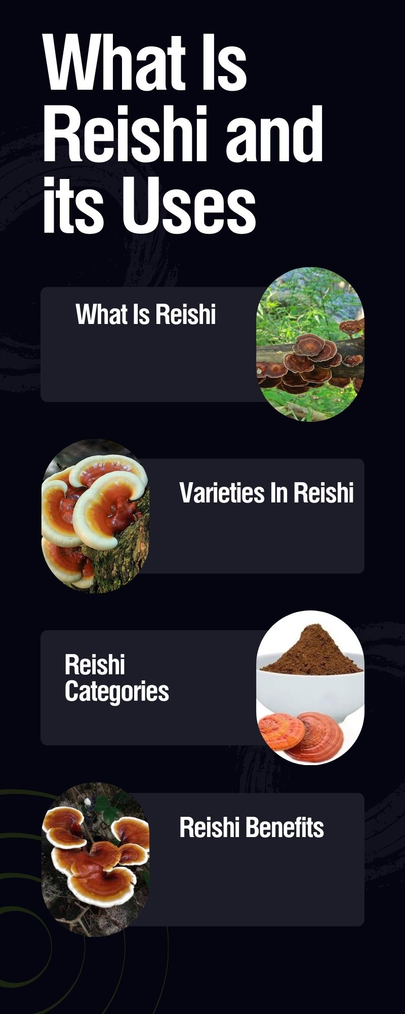 What Is Reishi and its Uses