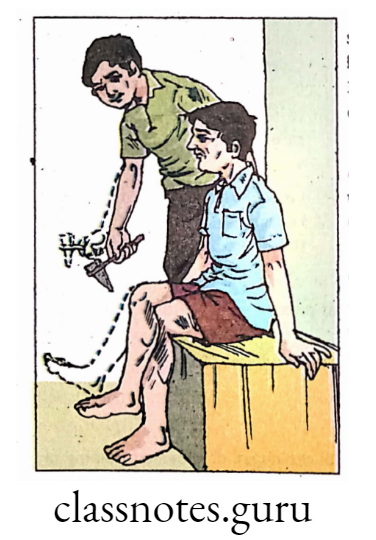 Demonstration of knee jerk reflex