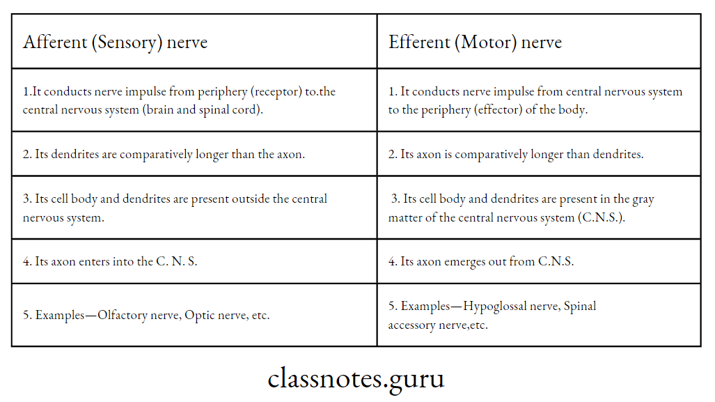 Difference between Afferent and Efferent nerves