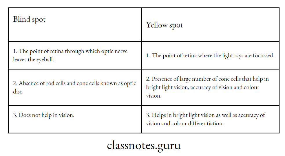 Difference between Blind spot and Yellow spot