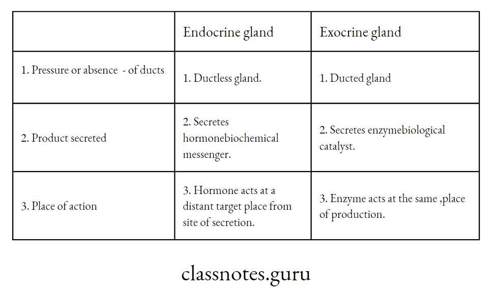 Difference between Endocrine and Exocrine gland