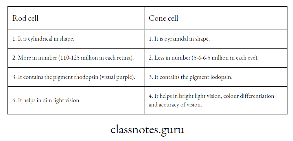 Difference between Rod cell and Cone cell