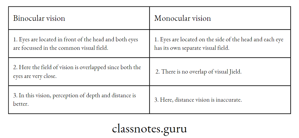 Difference between binocular and monocular vision