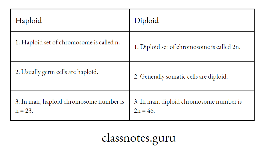 Difference between haploid and diploid