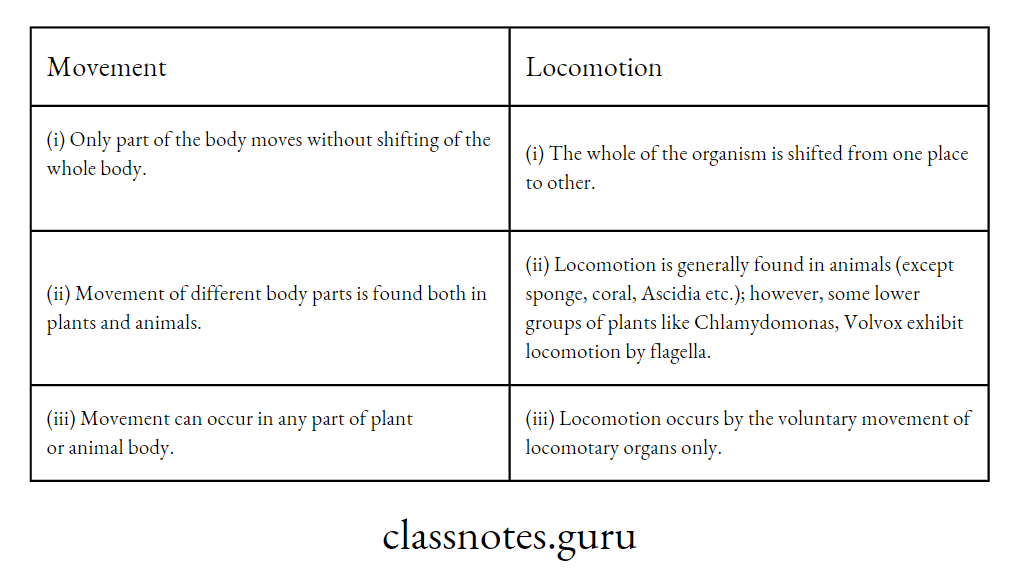 Difference between movement and locomotion